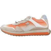 cetti deportivas moda c1382 v25 para hombre