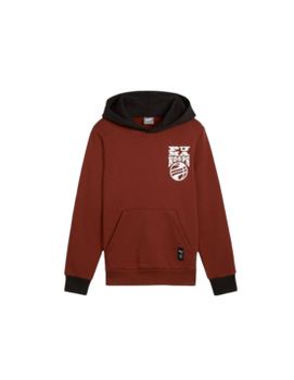 Sudadera Puma Basketball Blueprint Niño