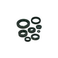 kit reten motor yamaha yzf 1000 r tour max