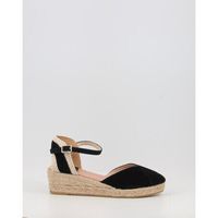 gaimo alpargatas copita8313 para mujer