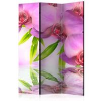 biombo - orchid spa 135x172 cm