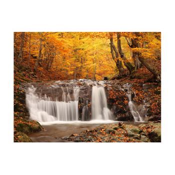 Papel Pintado 3d - Autumn Landscape : Waterfall In Forest (300x231 Cm)