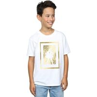 dc comics tops y camisetas bi33626 para nino