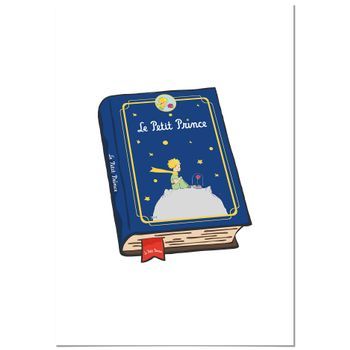 Cuadro De Aluminio El Principito Libro 70x100cm