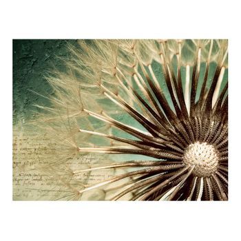 Papel Pintado 3d - Focus On Dandelion (300x231 Cm)