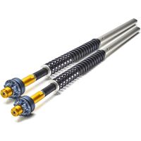 cartucho de horquilla bmw f 800 gs -12 andreani misano evo kit