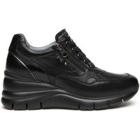 nerogiardini deportivas moda nappa pandora tbrill antracite eva agosta 876900 para mujer