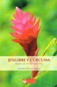 jengibre y curcuma