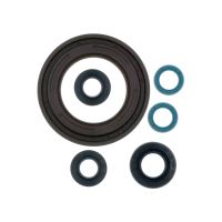kit reten motor yamaha tdm 900 athena