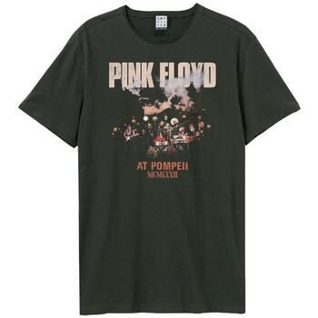 Amplified Clothing Camiseta Pompeii Live para mujer