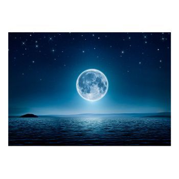 Papel Pintado 3d - Noche De Luna (150x105 Cm)
