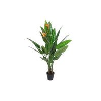planta pvc 100x100x145 strelitzia
