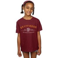 harry potter camiseta gryffindor quidditch para nina