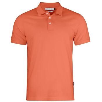 James Harvest Polo Sunset para hombre