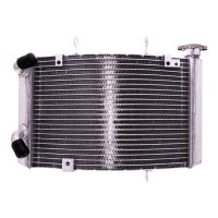refrigerador motor triumph street triple 675 13- agua