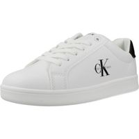 calvin klein jeans zapatillas low cut lace up sneaker para nino
