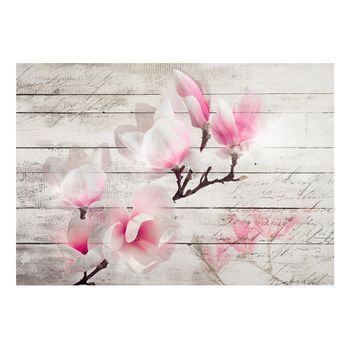 Papel Pintado 3d - Gentleness Of The Magnolia (400x280 Cm)