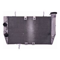 refrigerador motor ducati multistrada 15- agua