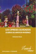 los cipreses olvidados suenos de amor en invierno