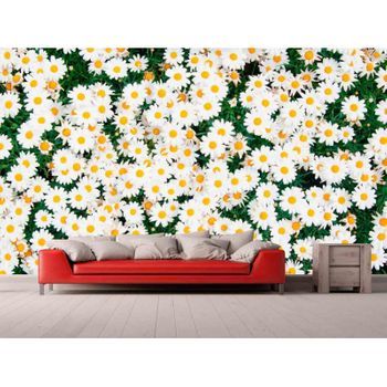 Fotomural Vinilo Margaritas 400 X 300 Cm