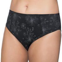 Viola Brief