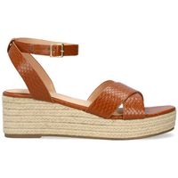 andypola alpargatas am6039 para mujer