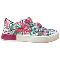lumberjack deportivas moda forky sge0711-002 c18 lona multicolor para nino