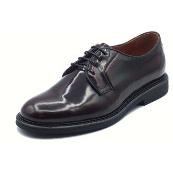 NeroGiardini Zapatos Hombre I500601U Cordovan para hombre