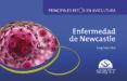 enfermedad de newcastle principales retos en avicultura