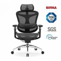 silla de oficina ergonomica sihoo doro c300 pro soporte lumbar ajustable reposabrazos 6d reposacabezas 3d
