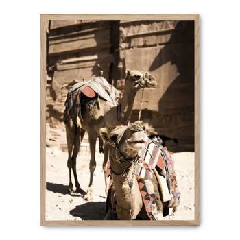 Cuadro Camels In Petra Ii