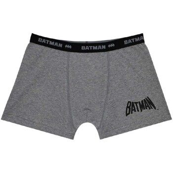 Dessins Animés Boxer GT47168 para niño