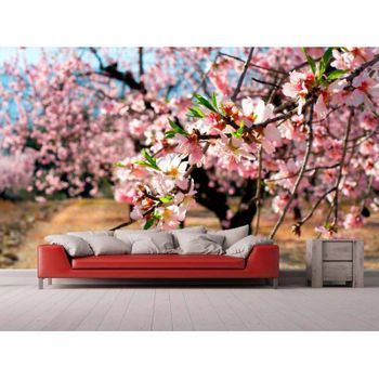 Fotomural Vinilo Flores Almendro 600 X 300 Cm