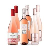 wine box 5 packs de vinos espana  450 cl 120