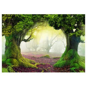 Papel Pintado 3d - Bosque Embrujado (250x175 Cm)