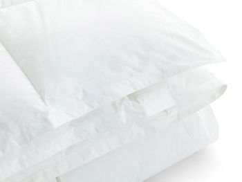 Relleno nórdico 4 estaciones duvedecor-deide apolo