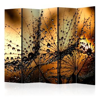 Biombo - Dandelions In The Rain Ii (225x172 Cm)