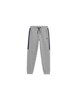 pantalones 4f jspmd002 nino gris