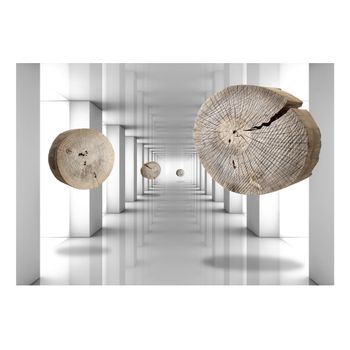 Papel Pintado 3d - Inventive Corridor (350x245 Cm)