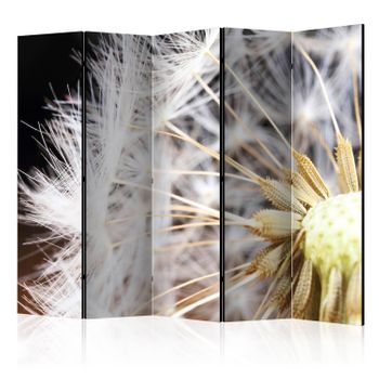 Biombo - Fluffy Dandelion Ii (225x172 Cm)