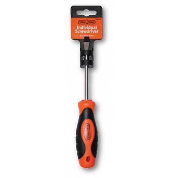 Slotted Individual Screwdriver 6x100mm