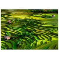panorama dibond de aluminio arrozales bali 100 x 70 cm  impreso en aluminio dibond blanco de alta calidad  cuadros paisajes  cuadros decoracion