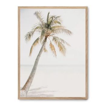 Cuadro Palm Beach Iii