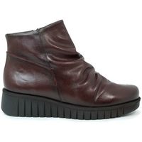 aplauso botines 2902 para mujer