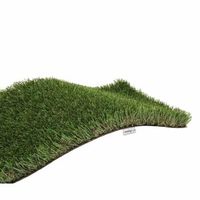 astro-turf exelgreen