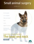 small animal surgery the head and neck vol 2