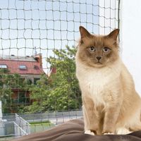 trixie bite resistant cat net - olive - 2 x 15 m