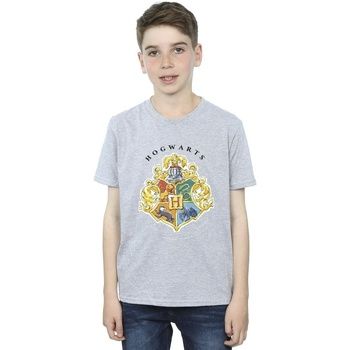 Harry Potter Tops y Camisetas Hogwarts para niño