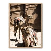 cuadro camels in petra ii