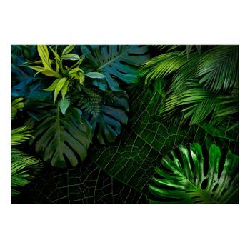 Papel Pintado 3d - Dark Jungle (400x280 Cm)
